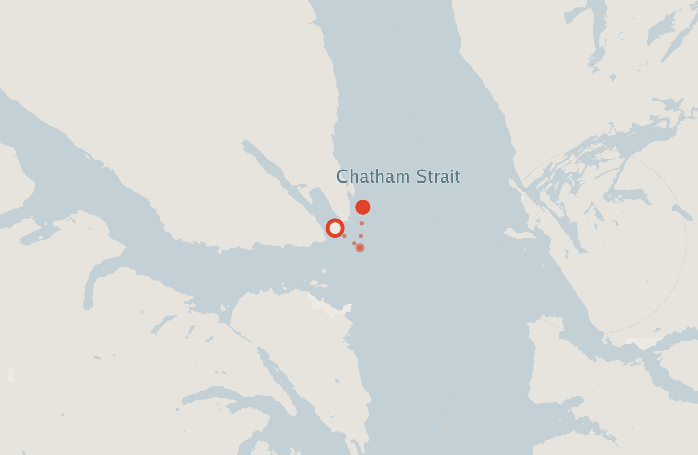 Activity map — real sighting points on an OpenStreetMap basemap