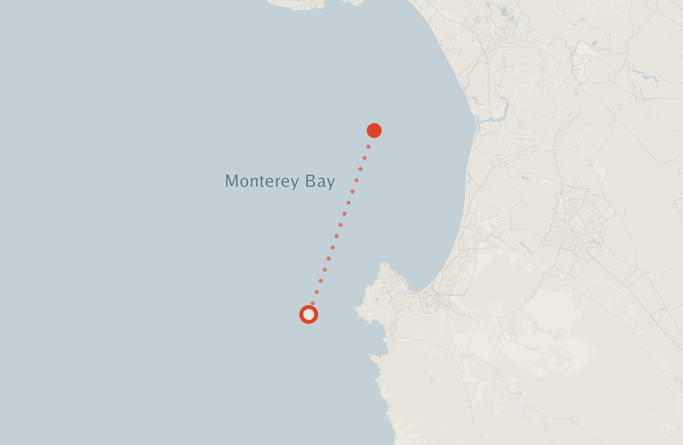 Activity map — real sighting points on an OpenStreetMap basemap