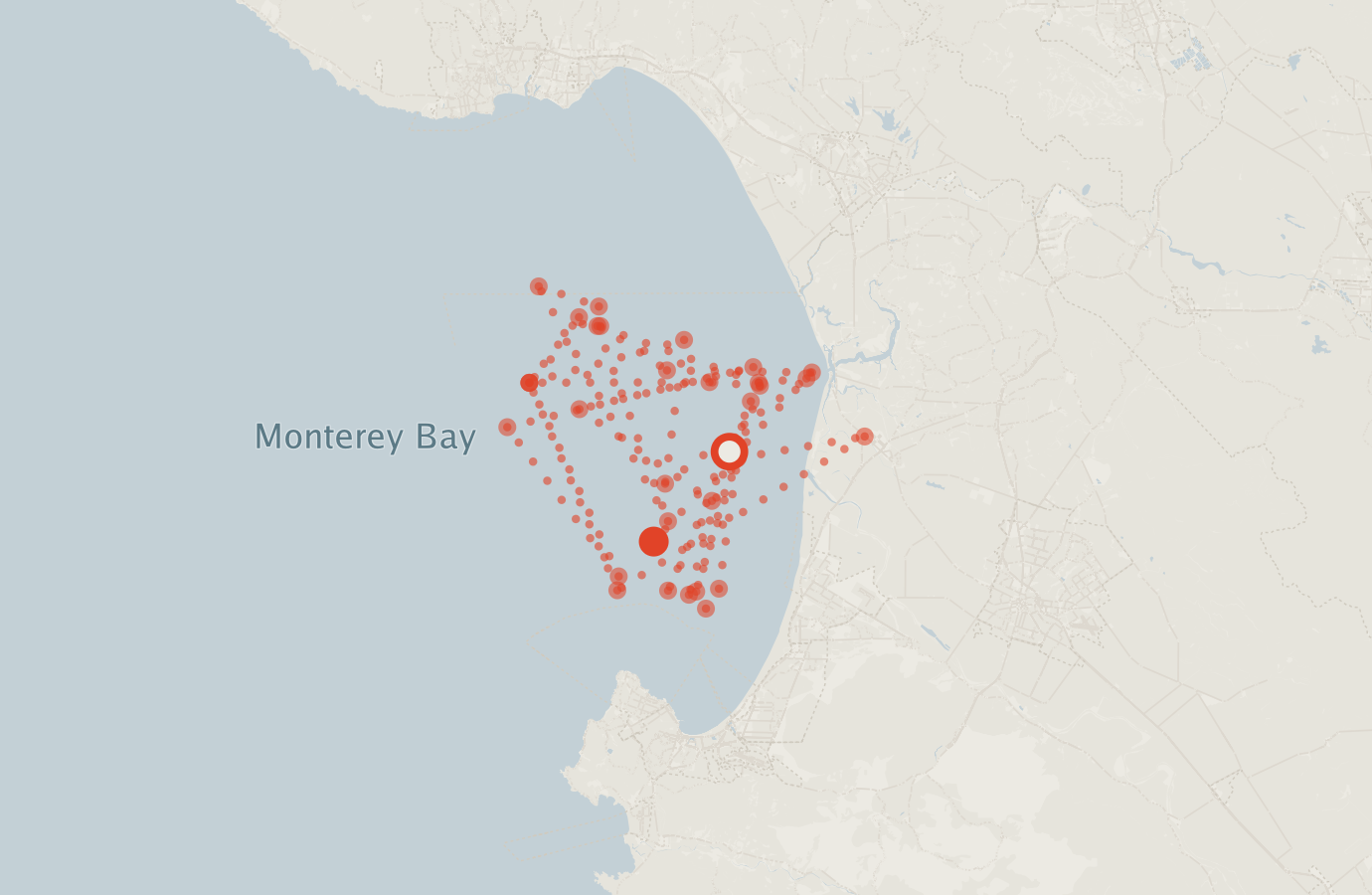 Activity map — real sighting points on an OpenStreetMap basemap