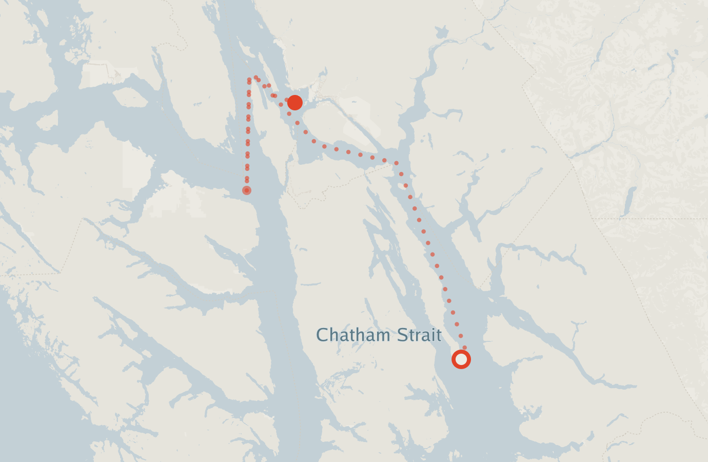 Activity map — real sighting points on an OpenStreetMap basemap