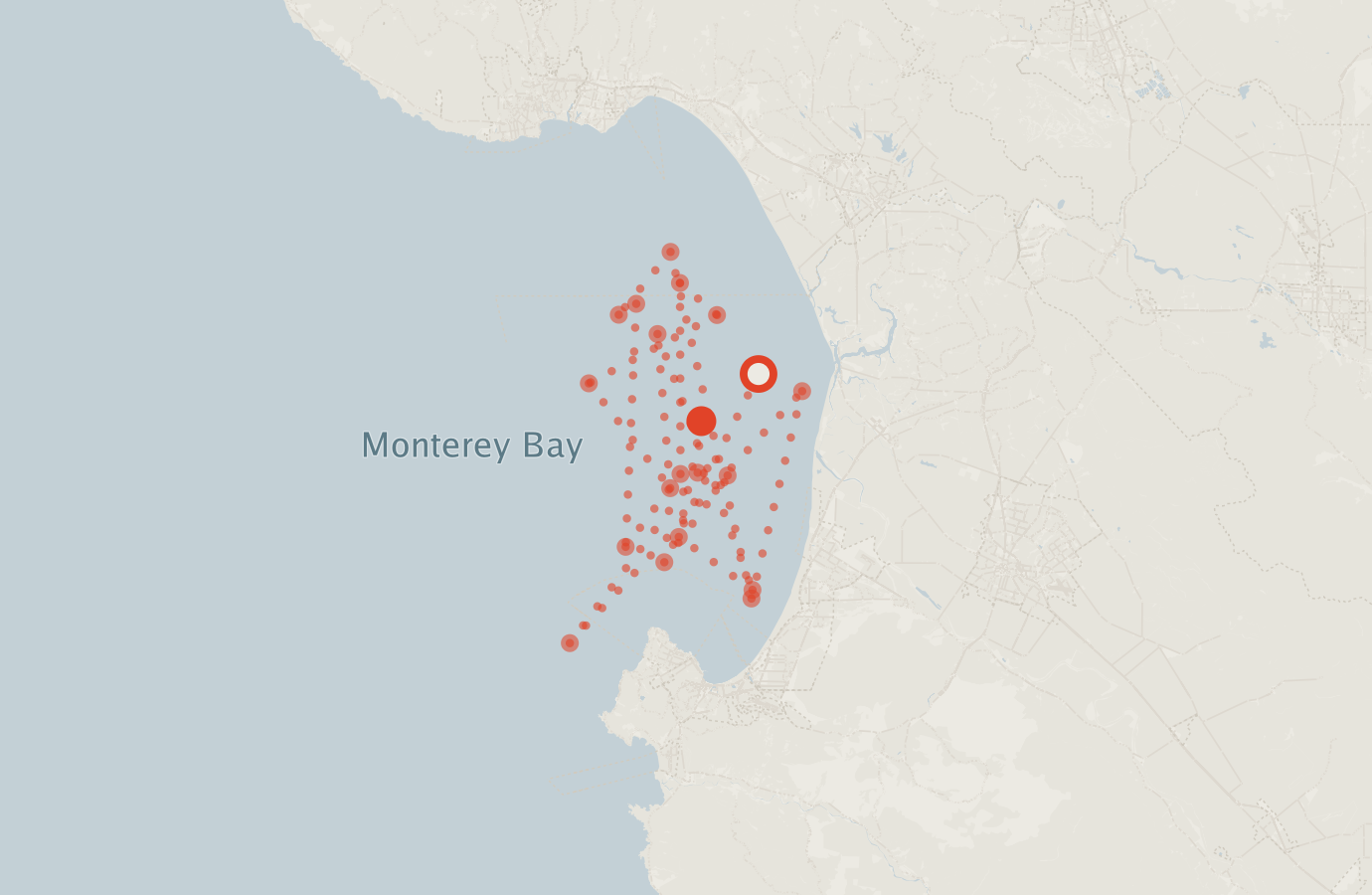 Activity map — real sighting points on an OpenStreetMap basemap