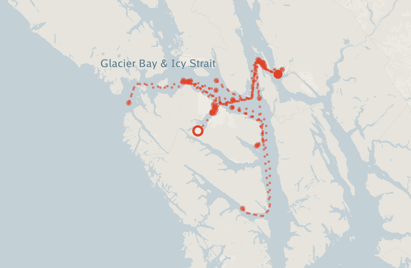 Activity map — real sighting points on an OpenStreetMap basemap