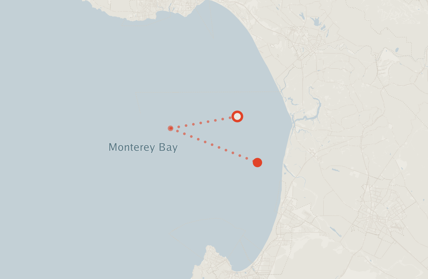 Activity map — real sighting points on an OpenStreetMap basemap