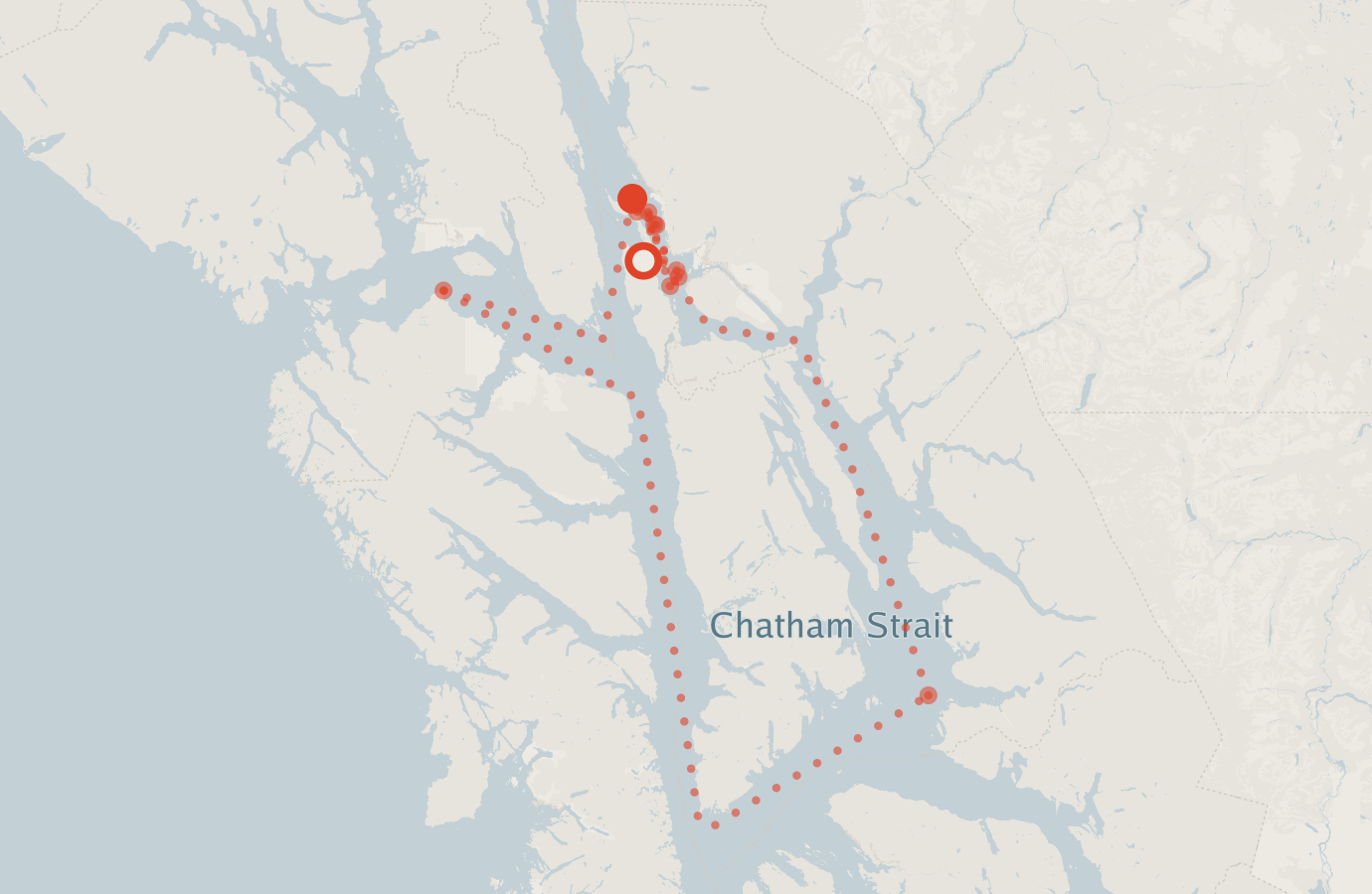 Activity map — real sighting points on an OpenStreetMap basemap