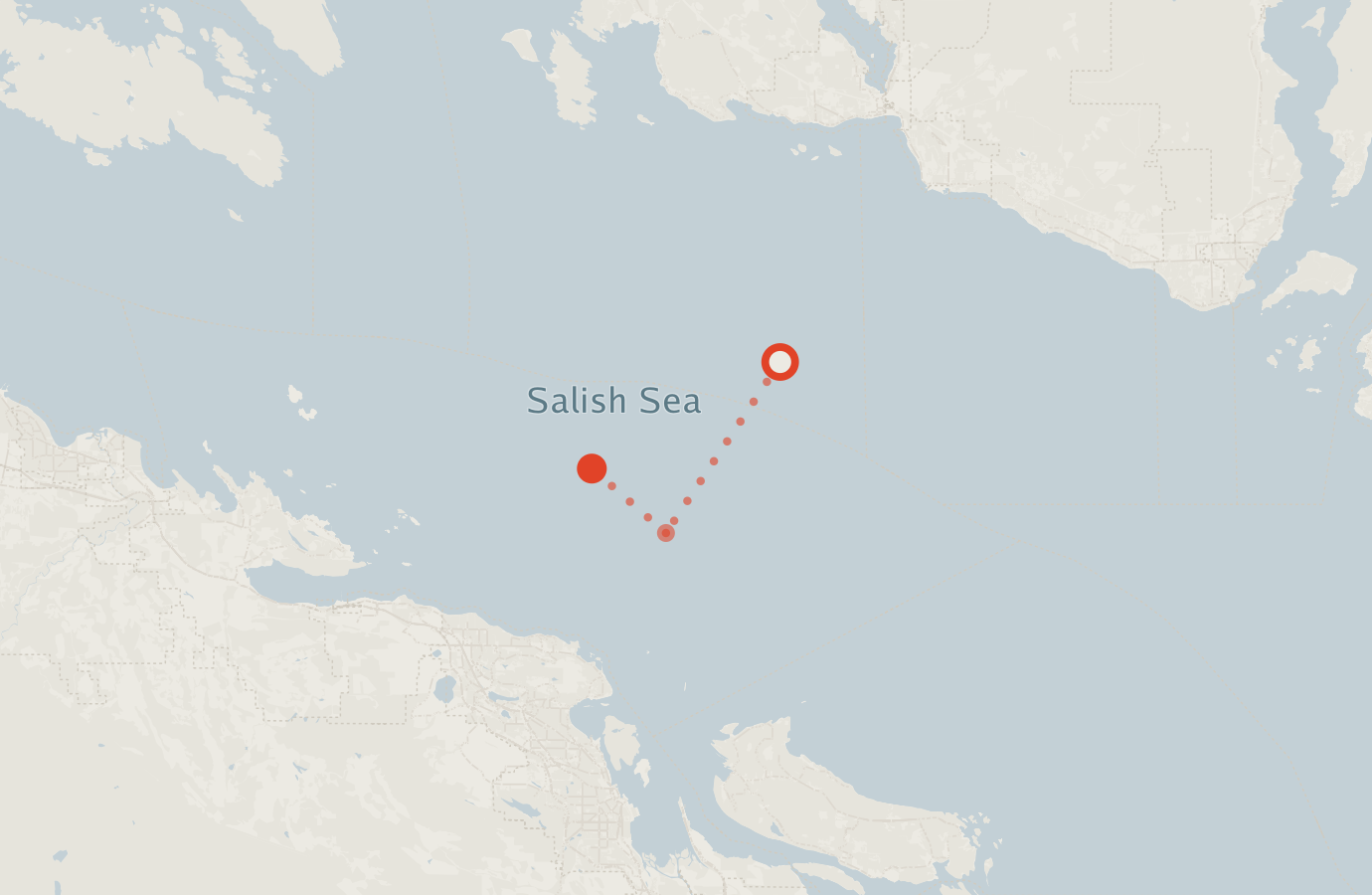 Activity map — real sighting points on an OpenStreetMap basemap