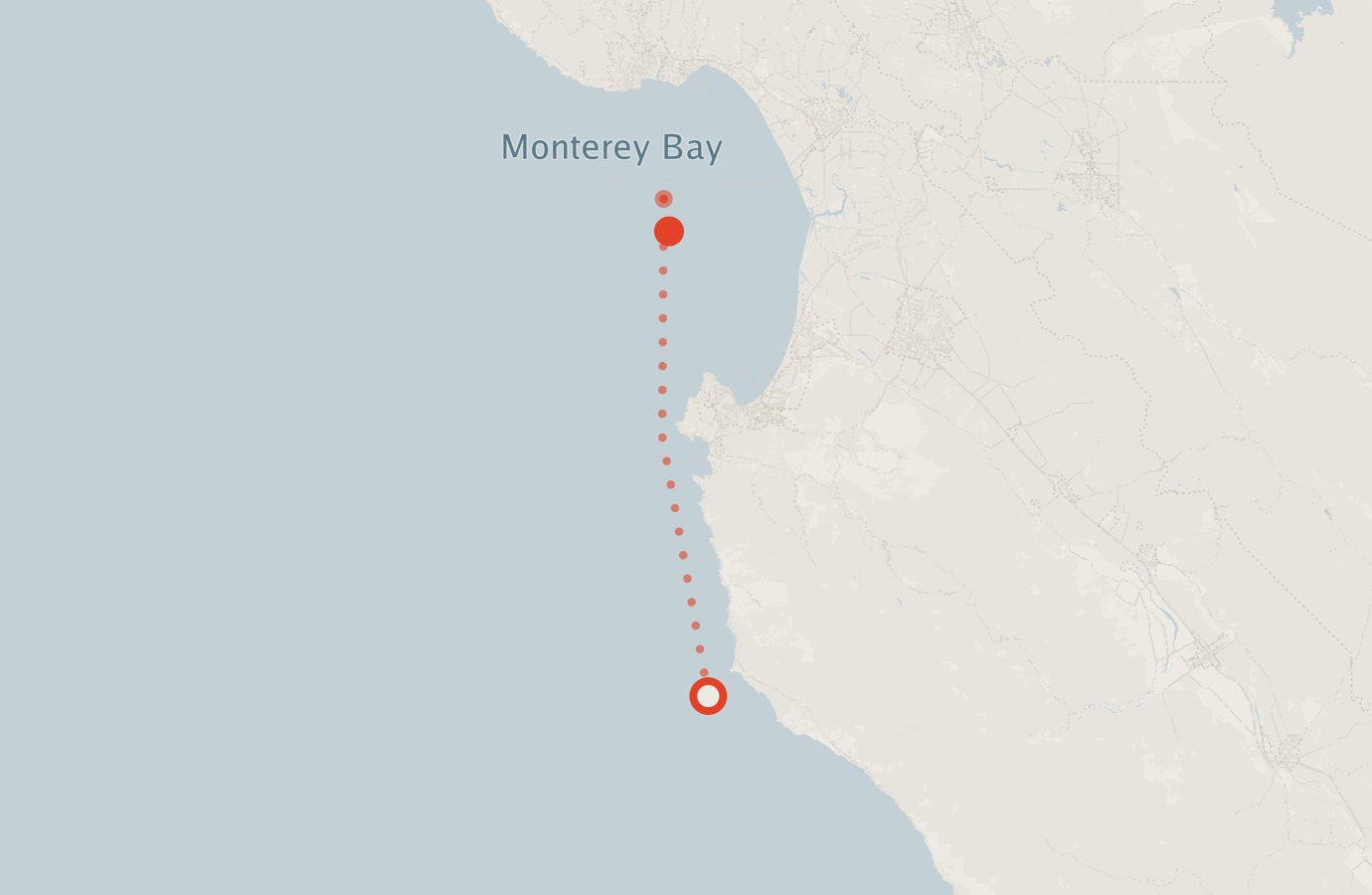 Activity map — real sighting points on an OpenStreetMap basemap