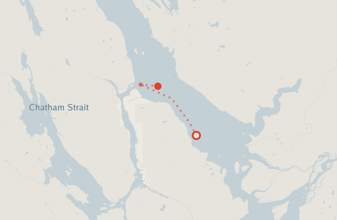 Activity map — real sighting points on an OpenStreetMap basemap