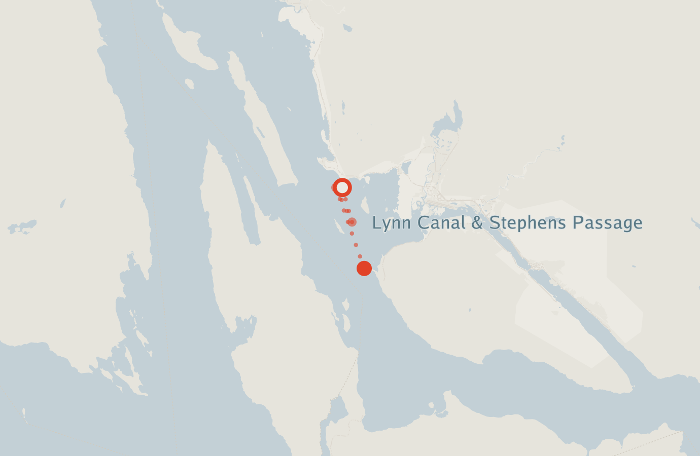 Activity map — real sighting points on an OpenStreetMap basemap