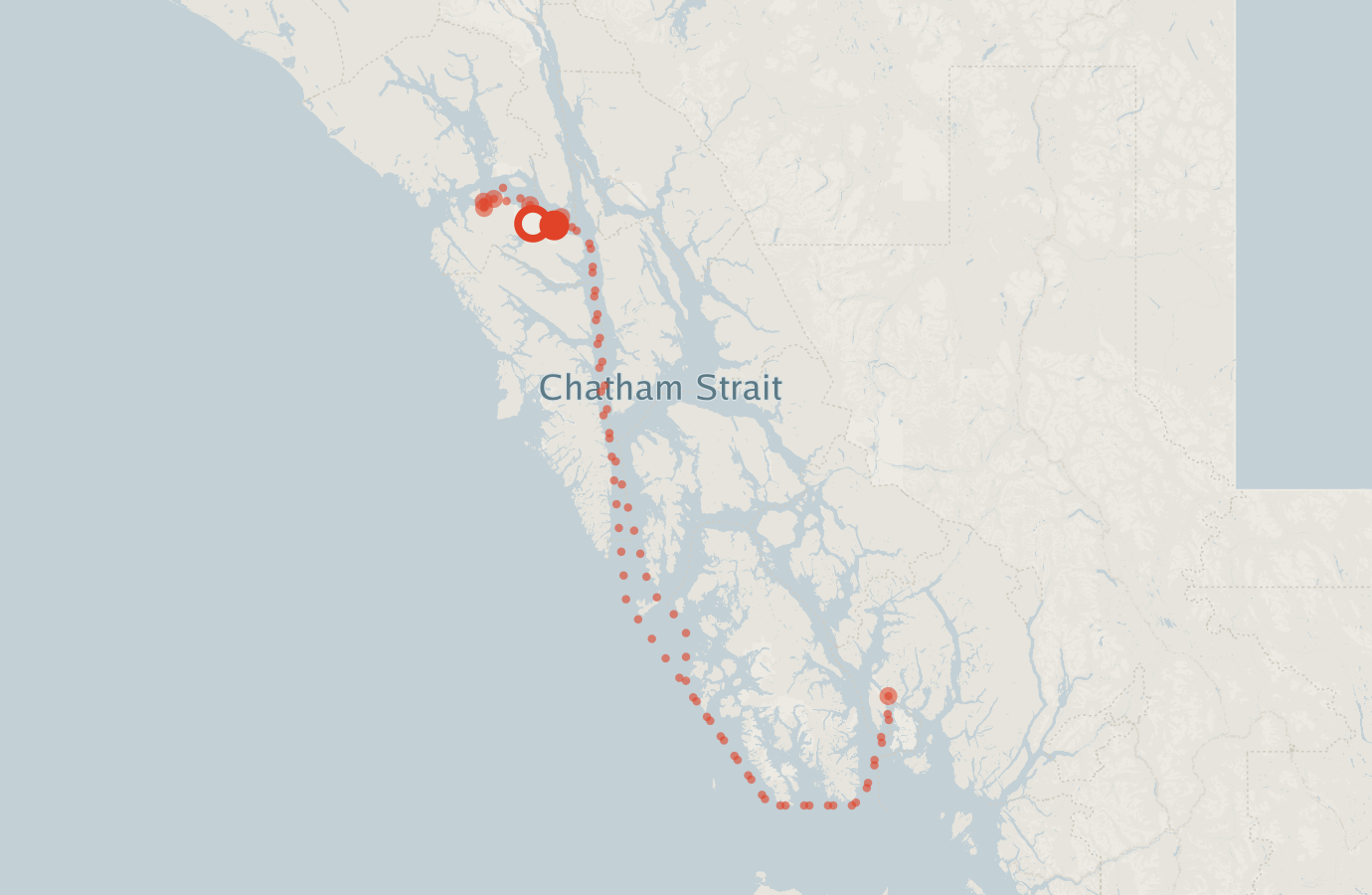 Activity map — real sighting points on an OpenStreetMap basemap