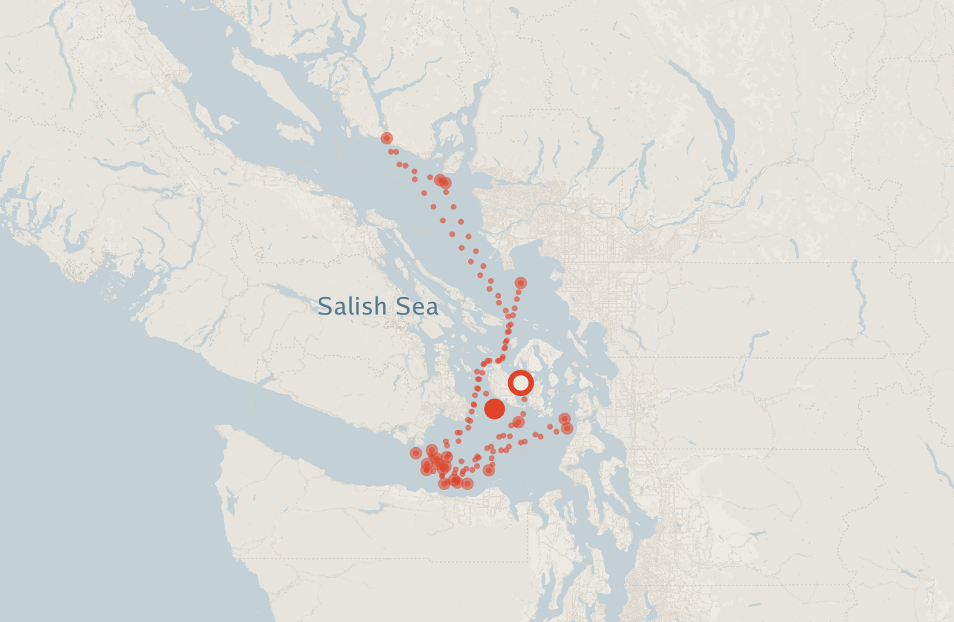 Activity map — real sighting points on an OpenStreetMap basemap