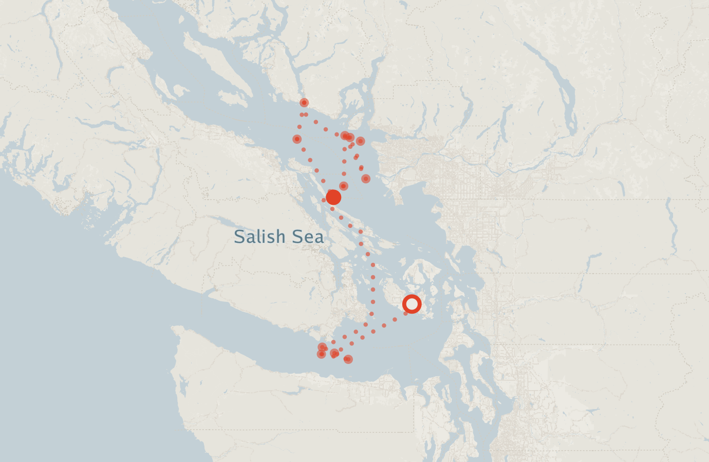 Activity map — real sighting points on an OpenStreetMap basemap