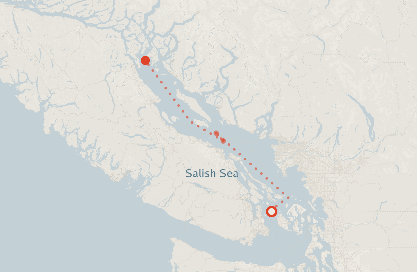 Activity map — real sighting points on an OpenStreetMap basemap