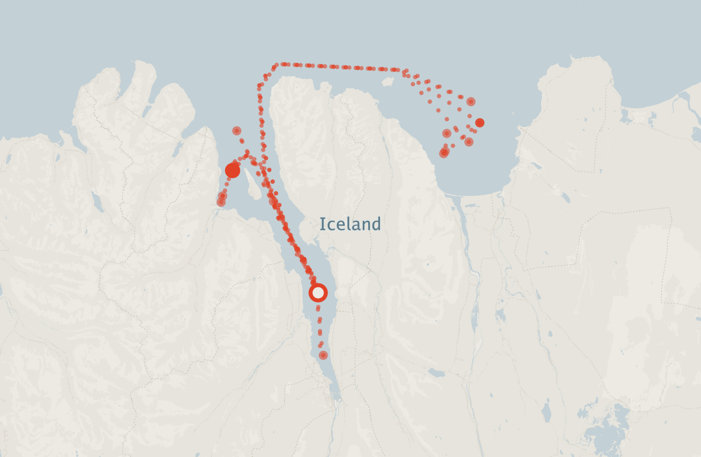 Activity map — real sighting points on an OpenStreetMap basemap