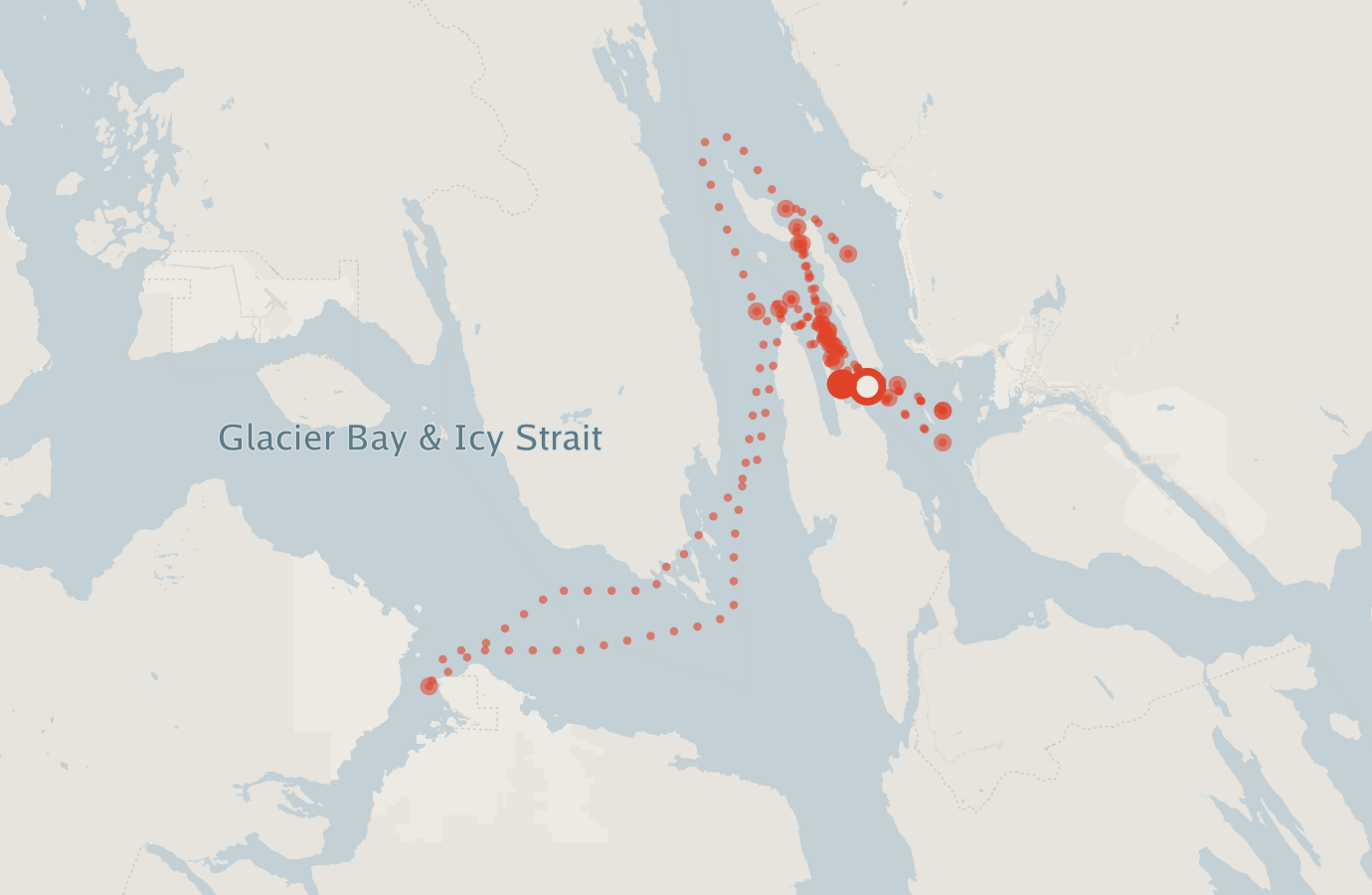 Activity map — real sighting points on an OpenStreetMap basemap