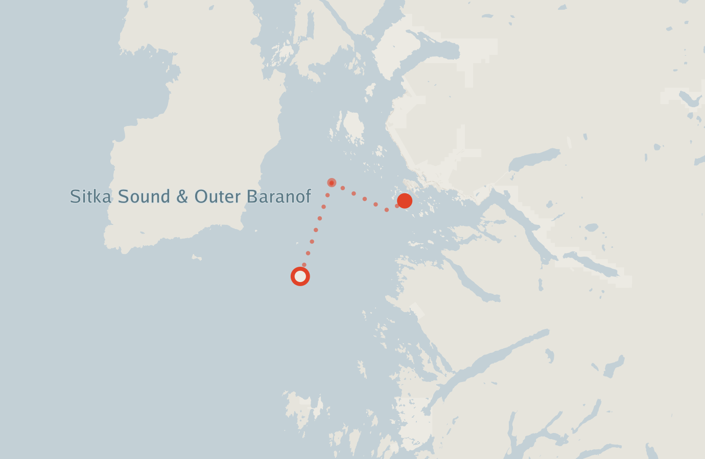 Activity map — real sighting points on an OpenStreetMap basemap