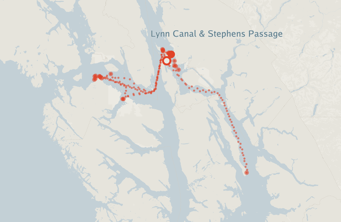 Activity map — real sighting points on an OpenStreetMap basemap
