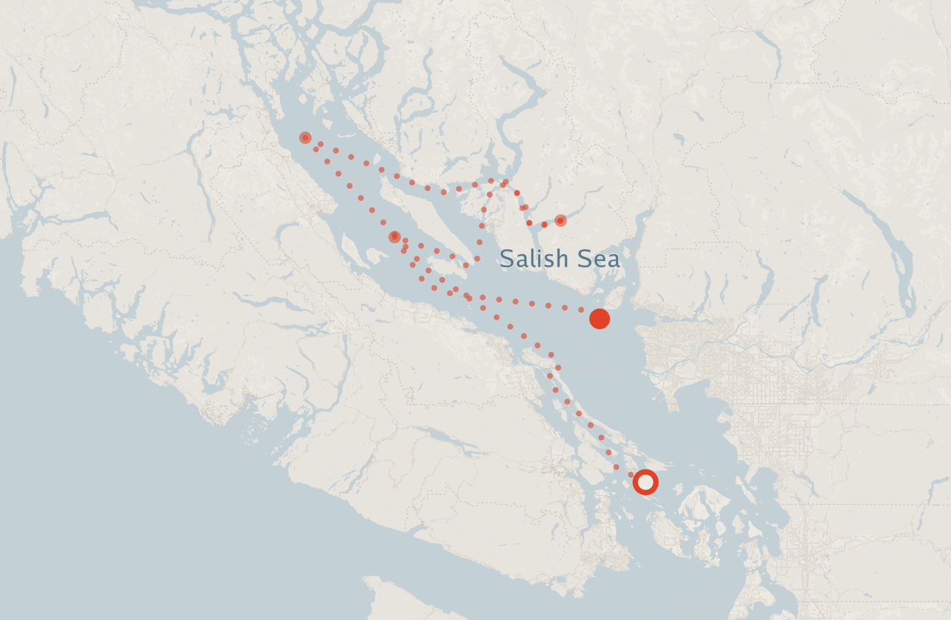 Activity map — real sighting points on an OpenStreetMap basemap