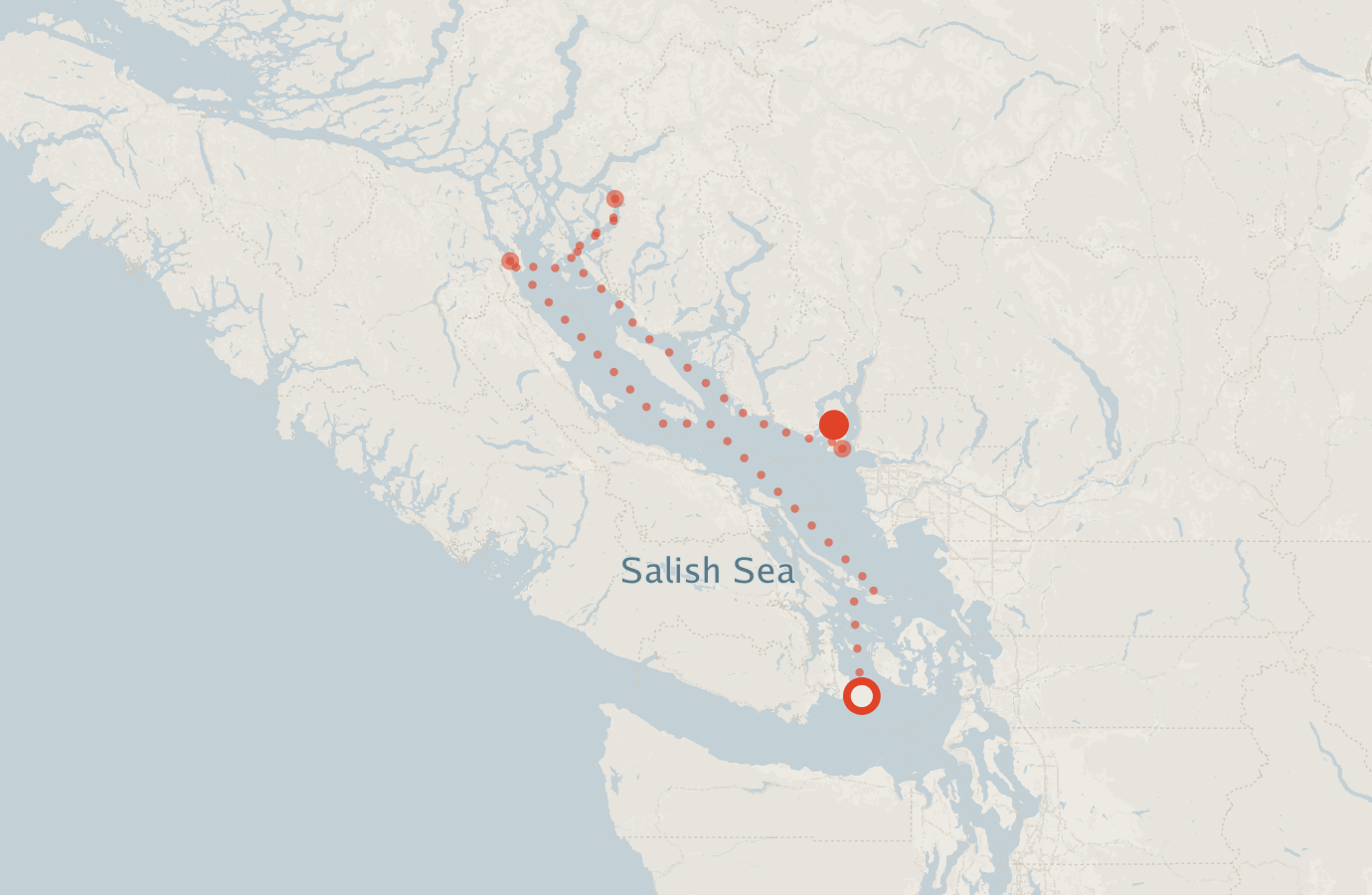 Activity map — real sighting points on an OpenStreetMap basemap