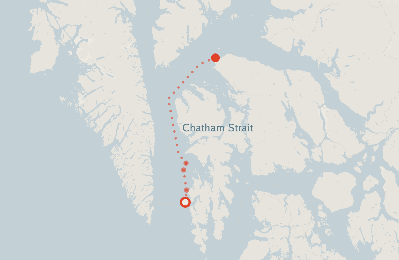 Activity map — real sighting points on an OpenStreetMap basemap