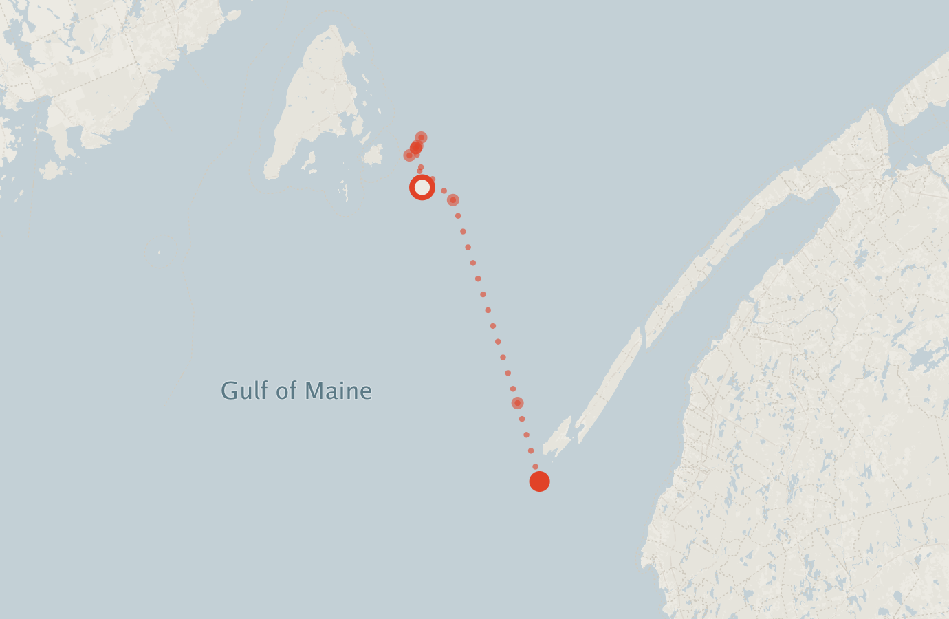 Activity map — real sighting points on an OpenStreetMap basemap