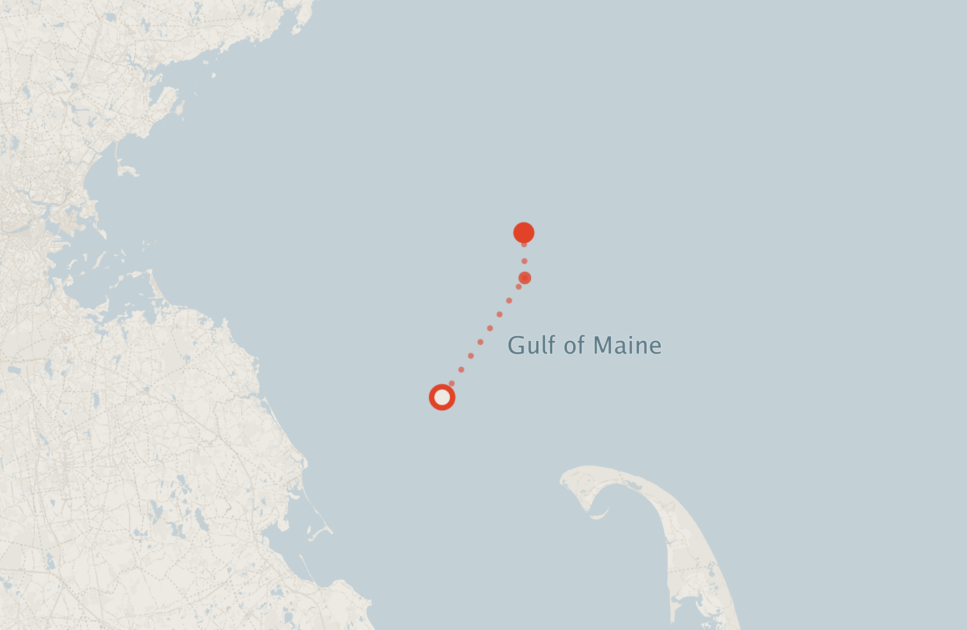 Activity map — real sighting points on an OpenStreetMap basemap