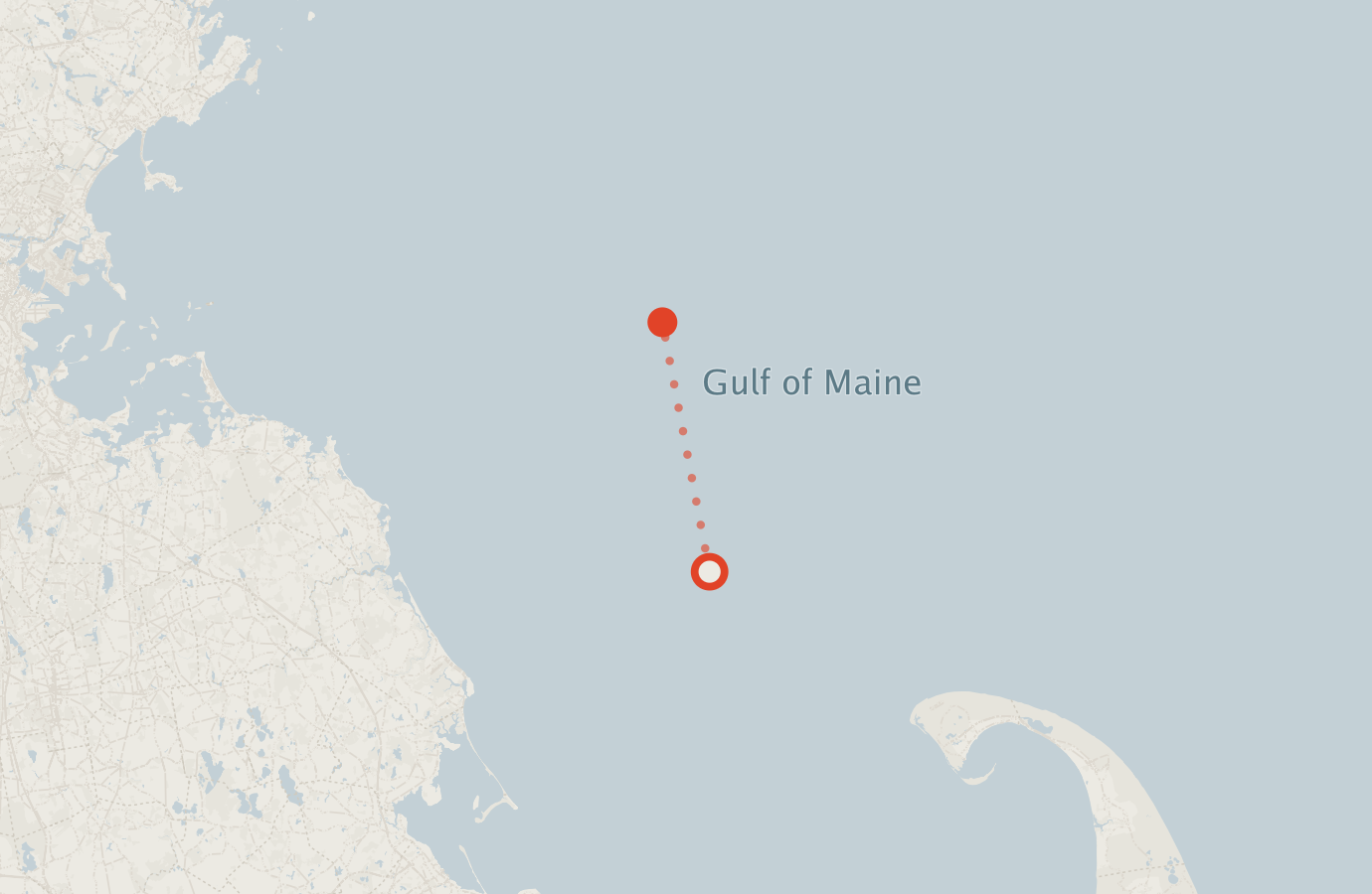 Activity map — real sighting points on an OpenStreetMap basemap