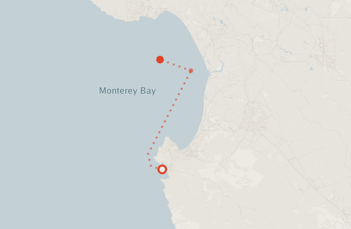 Activity map — real sighting points on an OpenStreetMap basemap