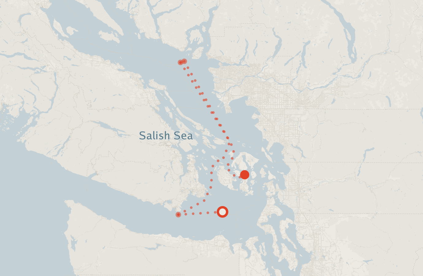 Activity map — real sighting points on an OpenStreetMap basemap