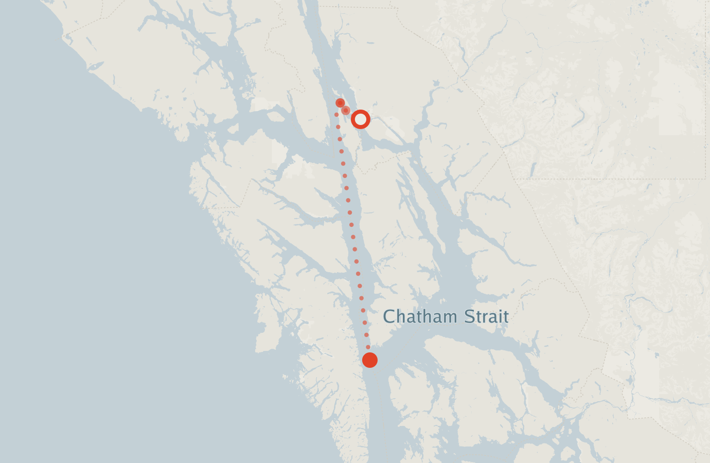 Activity map — real sighting points on an OpenStreetMap basemap