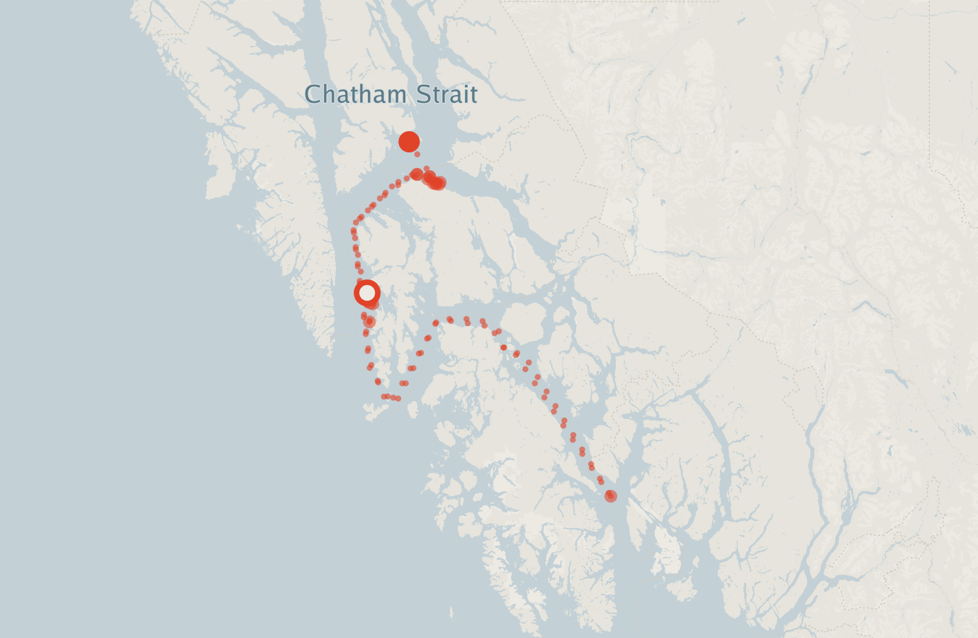 Activity map — real sighting points on an OpenStreetMap basemap