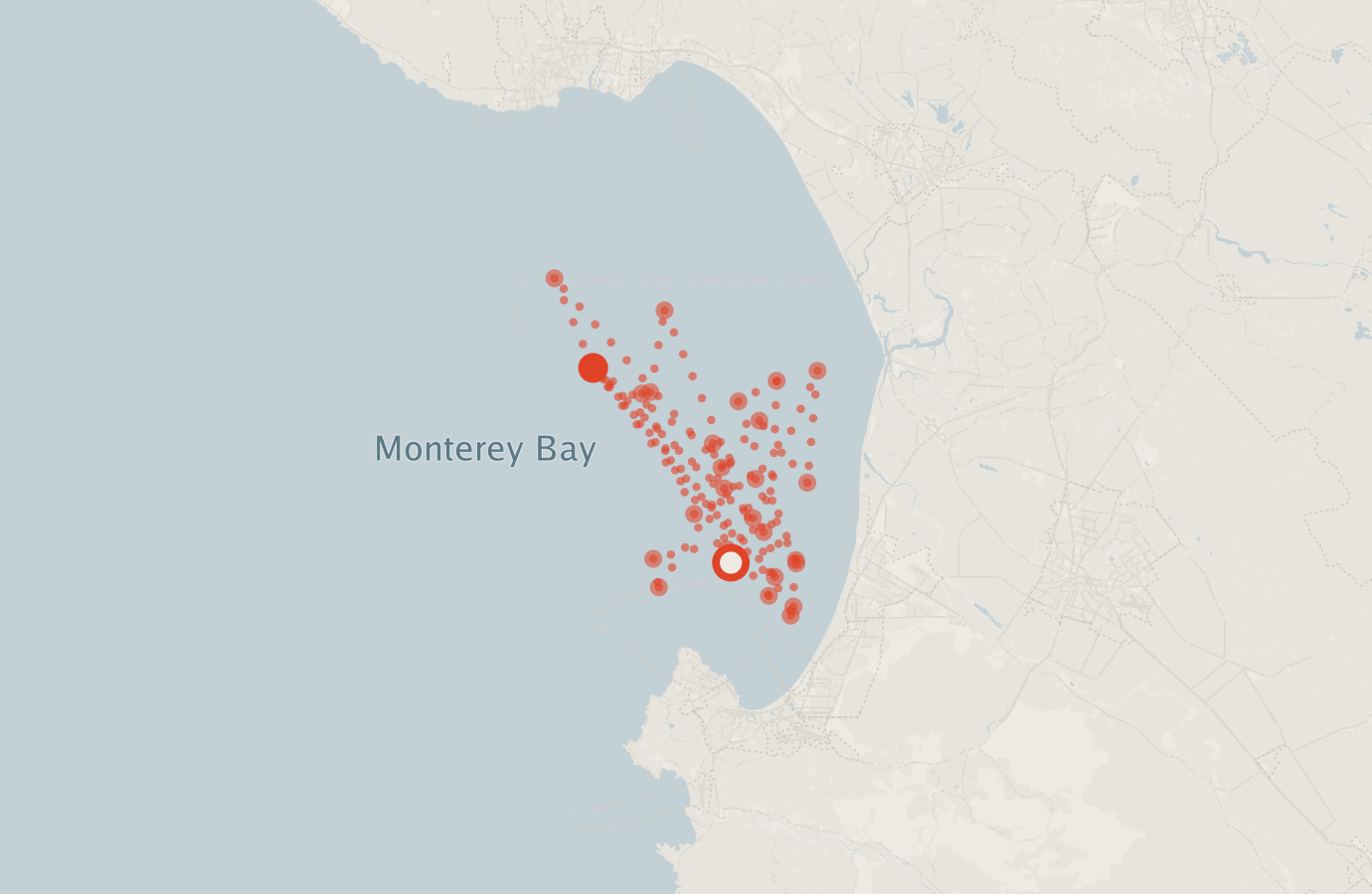 Activity map — real sighting points on an OpenStreetMap basemap