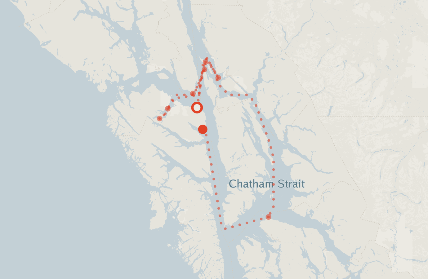 Activity map — real sighting points on an OpenStreetMap basemap