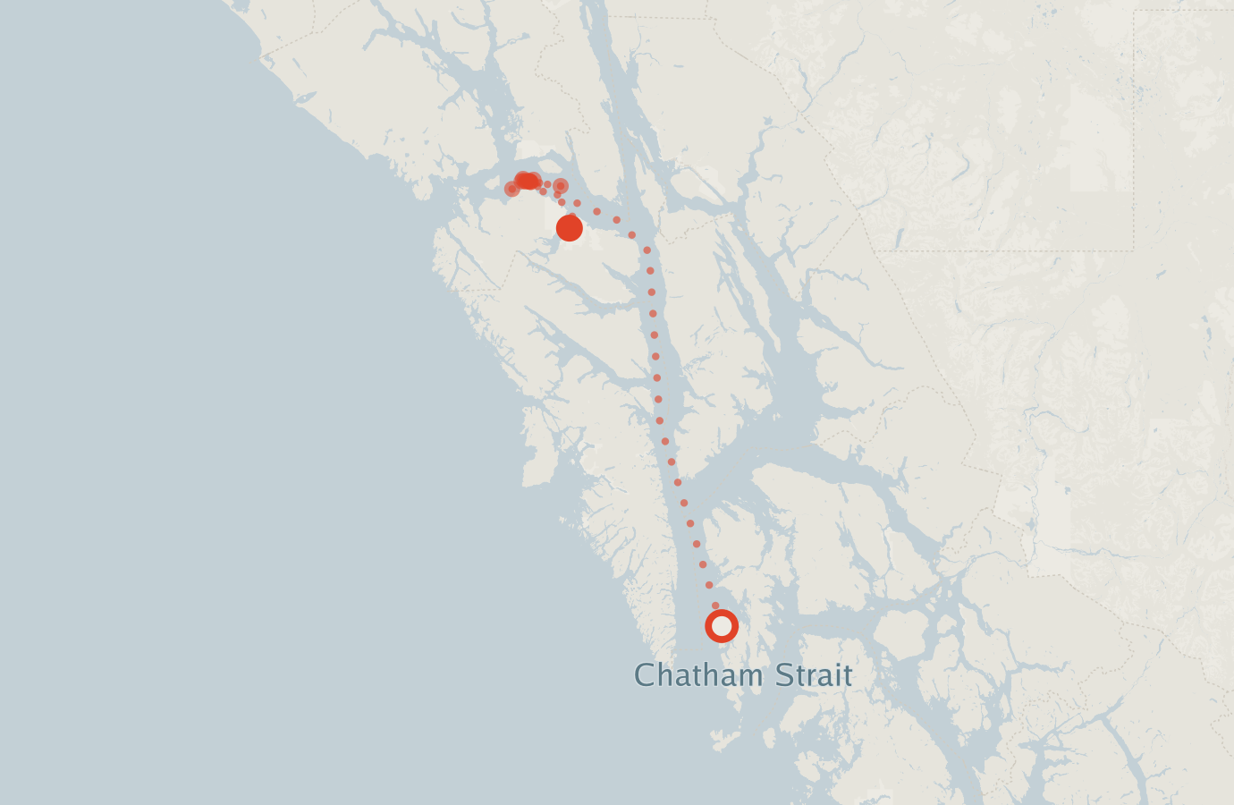 Activity map — real sighting points on an OpenStreetMap basemap