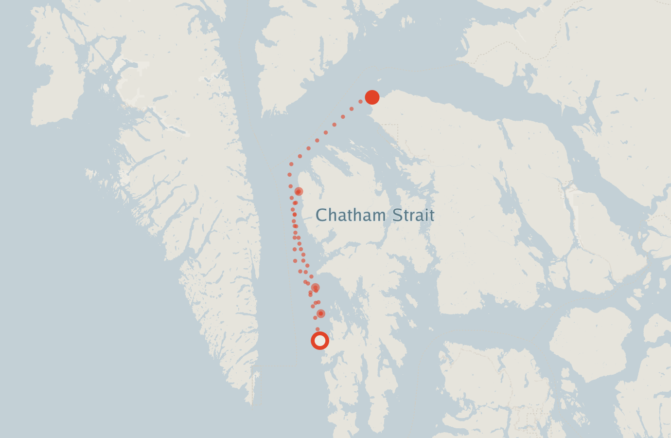 Activity map — real sighting points on an OpenStreetMap basemap