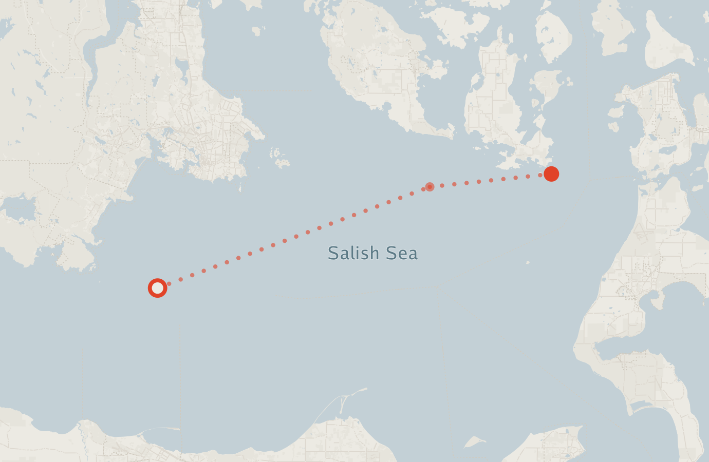 Activity map — real sighting points on an OpenStreetMap basemap