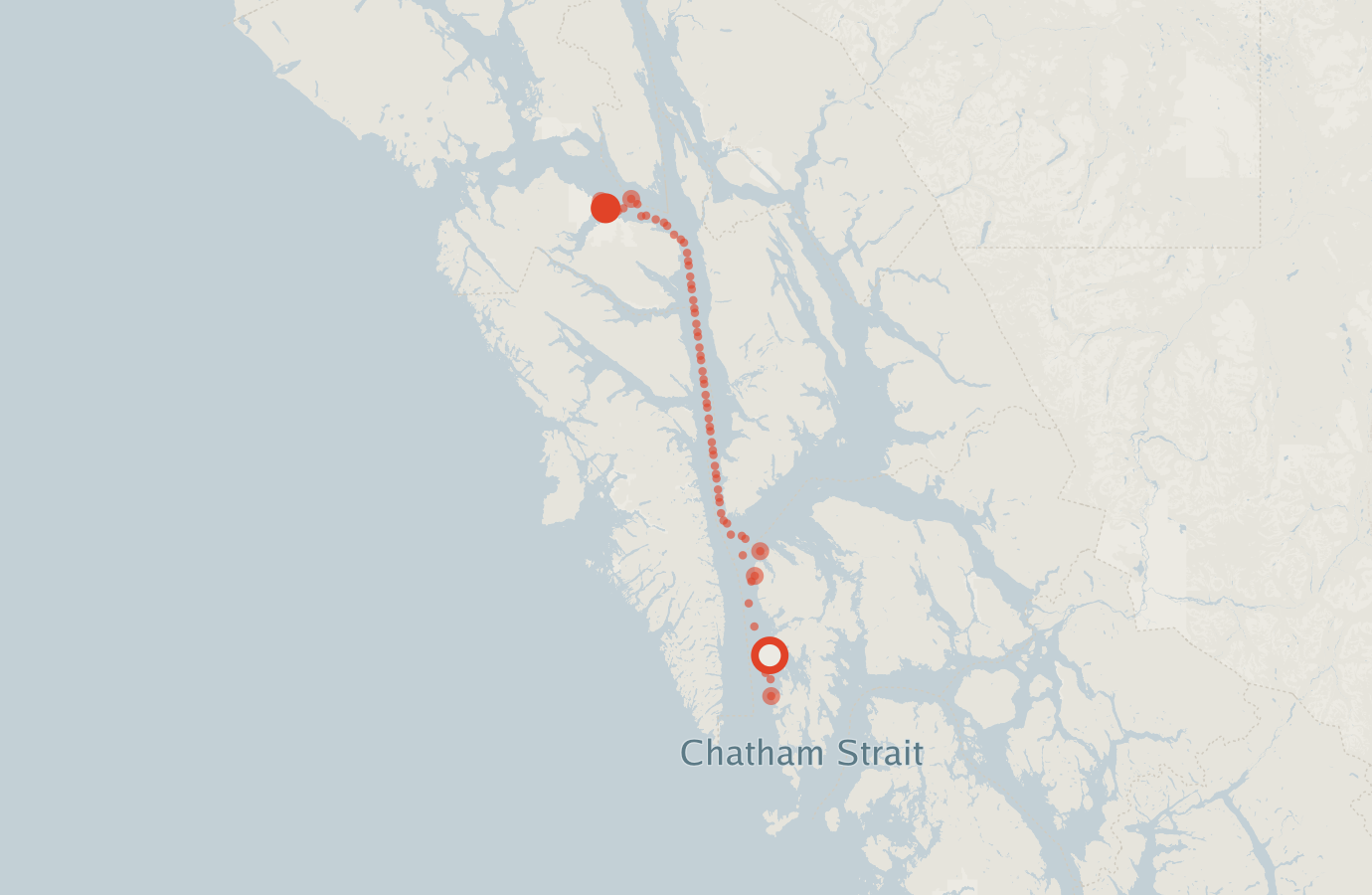 Activity map — real sighting points on an OpenStreetMap basemap