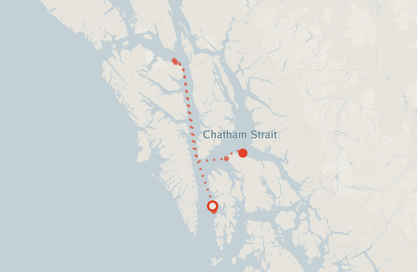 Activity map — real sighting points on an OpenStreetMap basemap