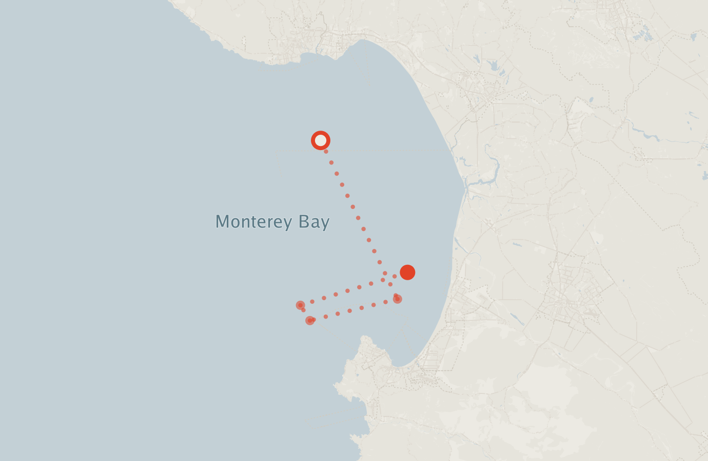 Activity map — real sighting points on an OpenStreetMap basemap