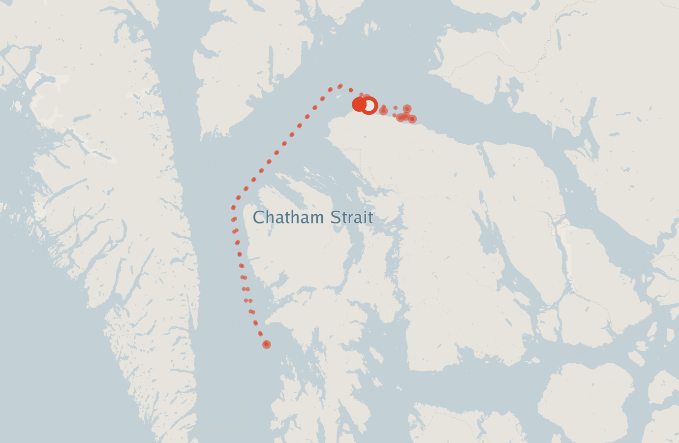 Activity map — real sighting points on an OpenStreetMap basemap