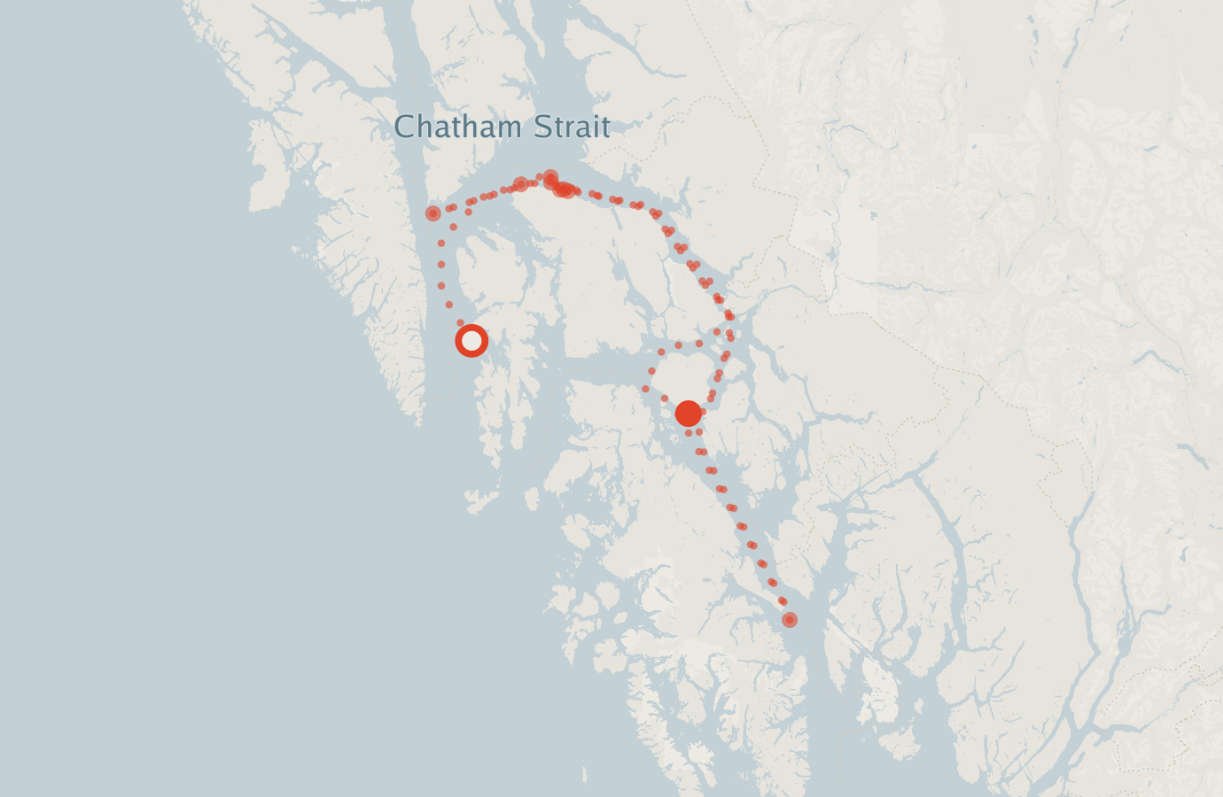 Activity map — real sighting points on an OpenStreetMap basemap