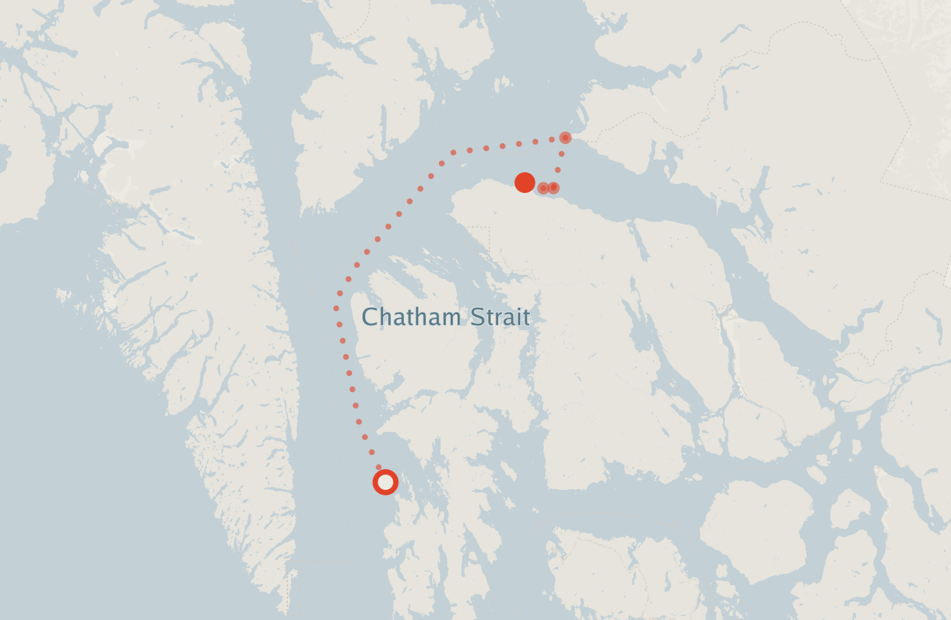 Activity map — real sighting points on an OpenStreetMap basemap