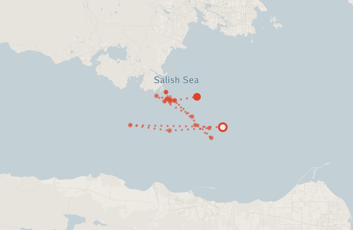 Activity map — real sighting points on an OpenStreetMap basemap