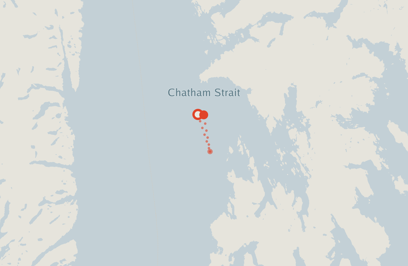 Activity map — real sighting points on an OpenStreetMap basemap