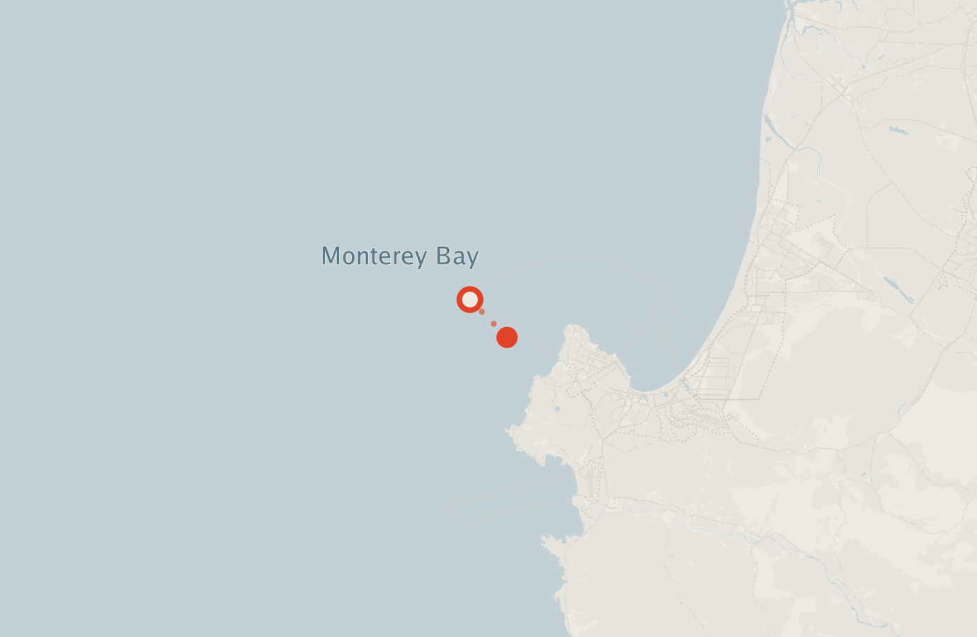 Activity map — real sighting points on an OpenStreetMap basemap