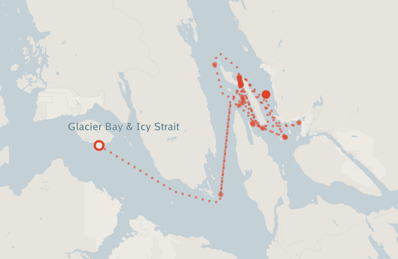 Activity map — real sighting points on an OpenStreetMap basemap