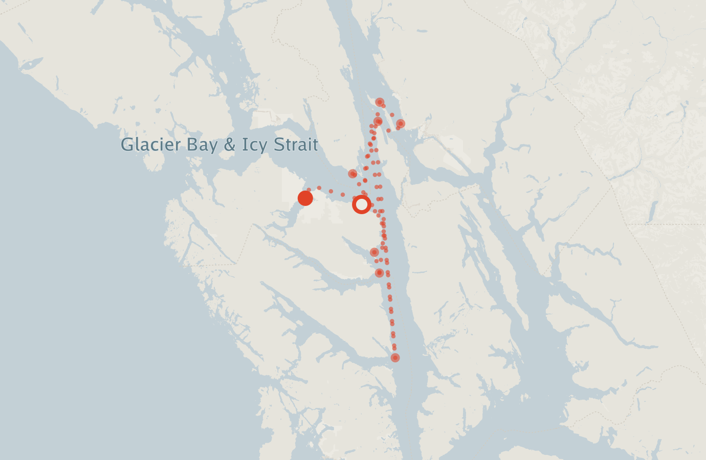 Activity map — real sighting points on an OpenStreetMap basemap