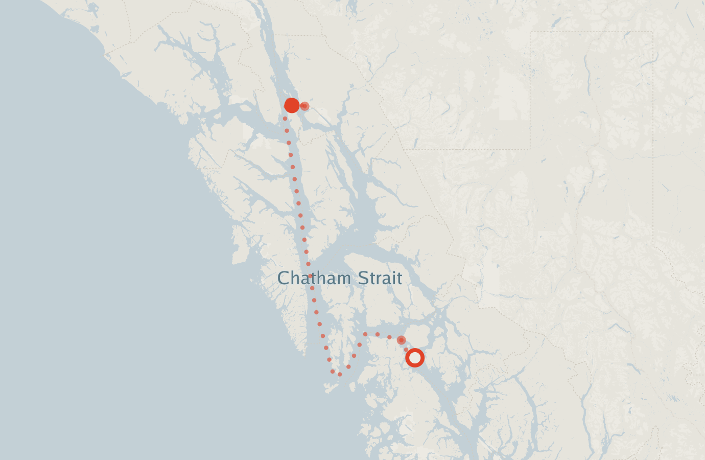 Activity map — real sighting points on an OpenStreetMap basemap