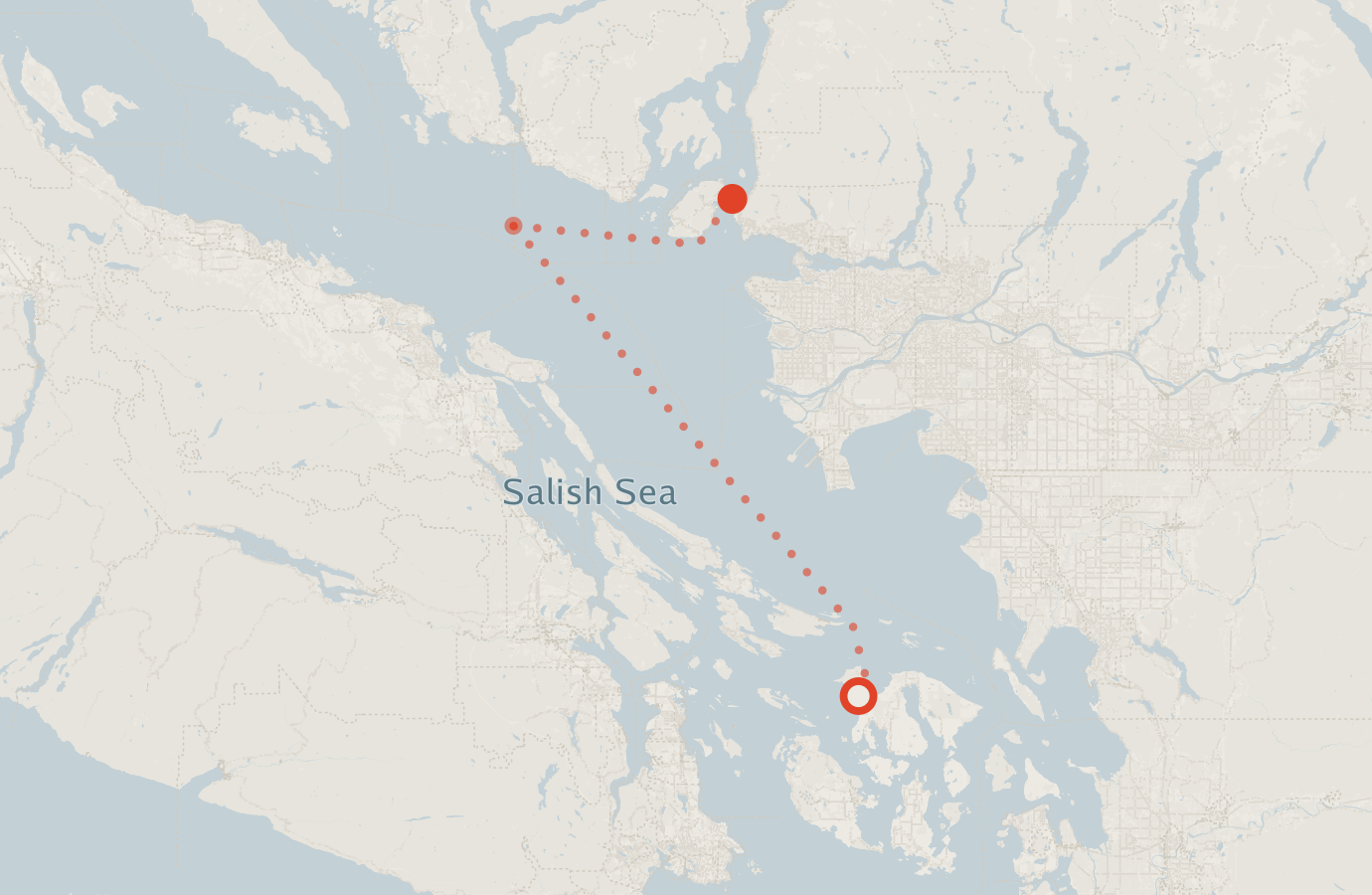 Activity map — real sighting points on an OpenStreetMap basemap