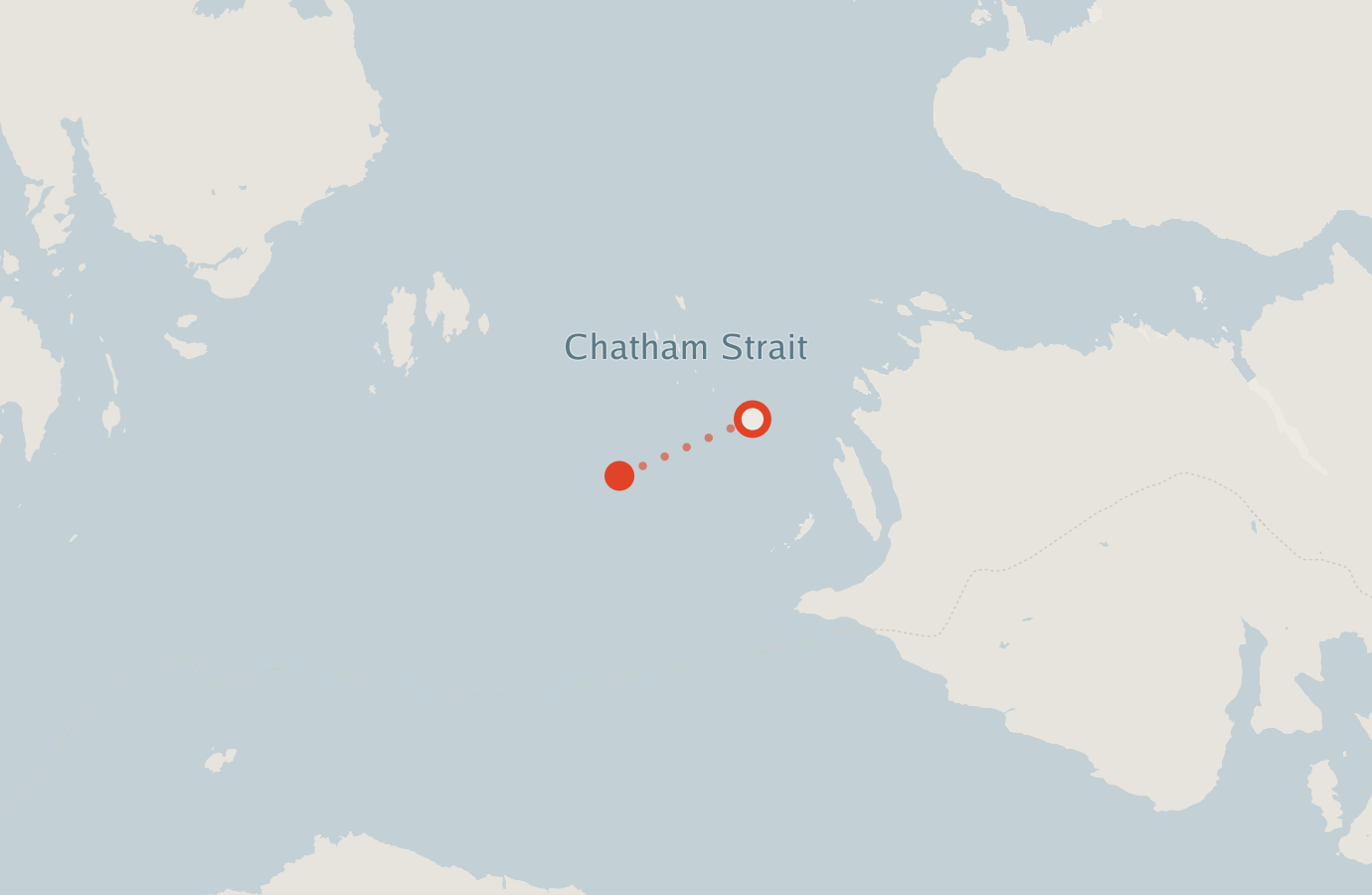 Activity map — real sighting points on an OpenStreetMap basemap