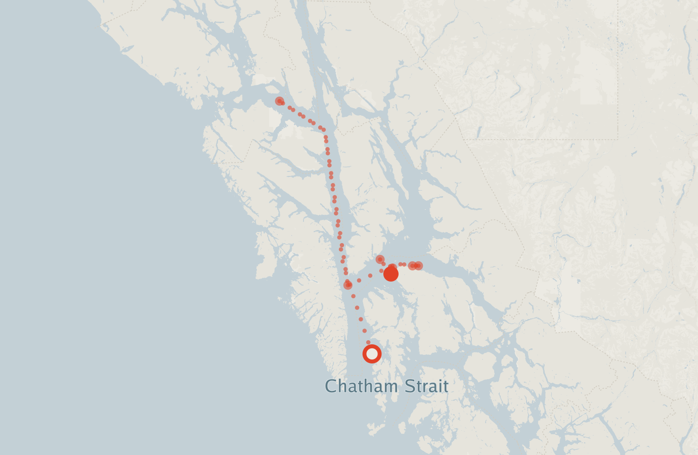 Activity map — real sighting points on an OpenStreetMap basemap
